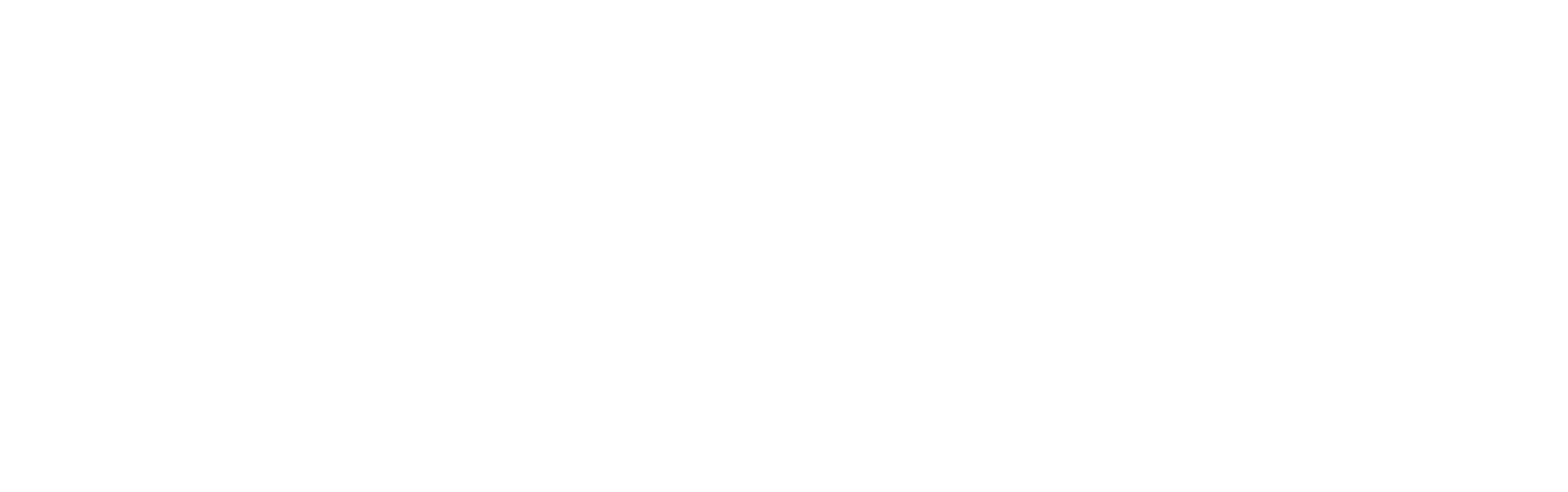 Focus Immigration Canada Inc.