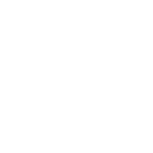 Connect2Fly Immigration Services LTD.