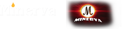 Minerva Immigration Consulting Inc.