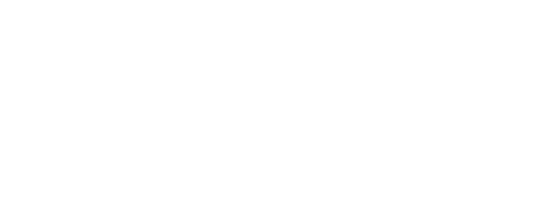 Blue Blossom Immigration Services Inc.